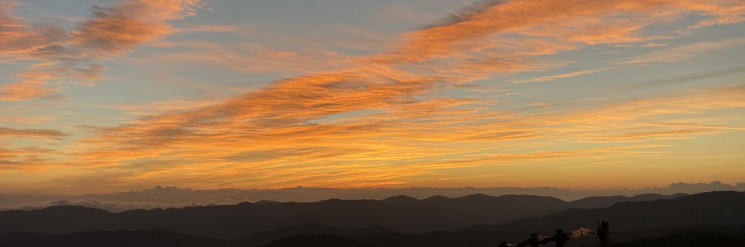 Lys_Clemons's profile banner image