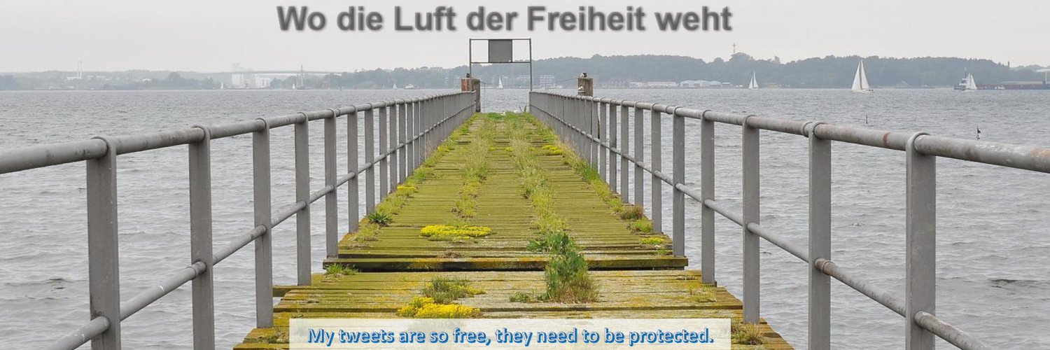 TheRealMartinSchulz My ideas are free. Steal them. banner