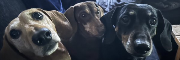 donny_vs Profile Banner