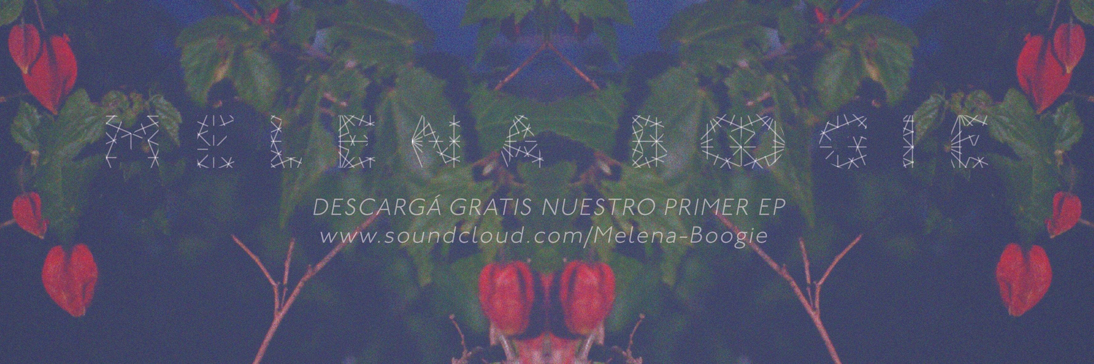 MelenaBoogie's profile banner image