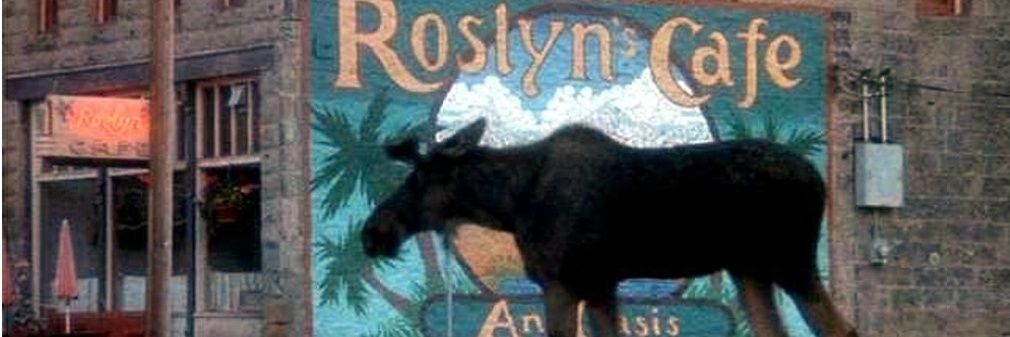 RupeGallardo's profile banner image