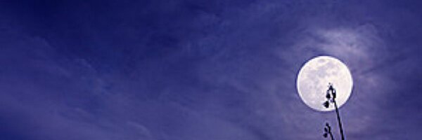 sarav Profile Banner