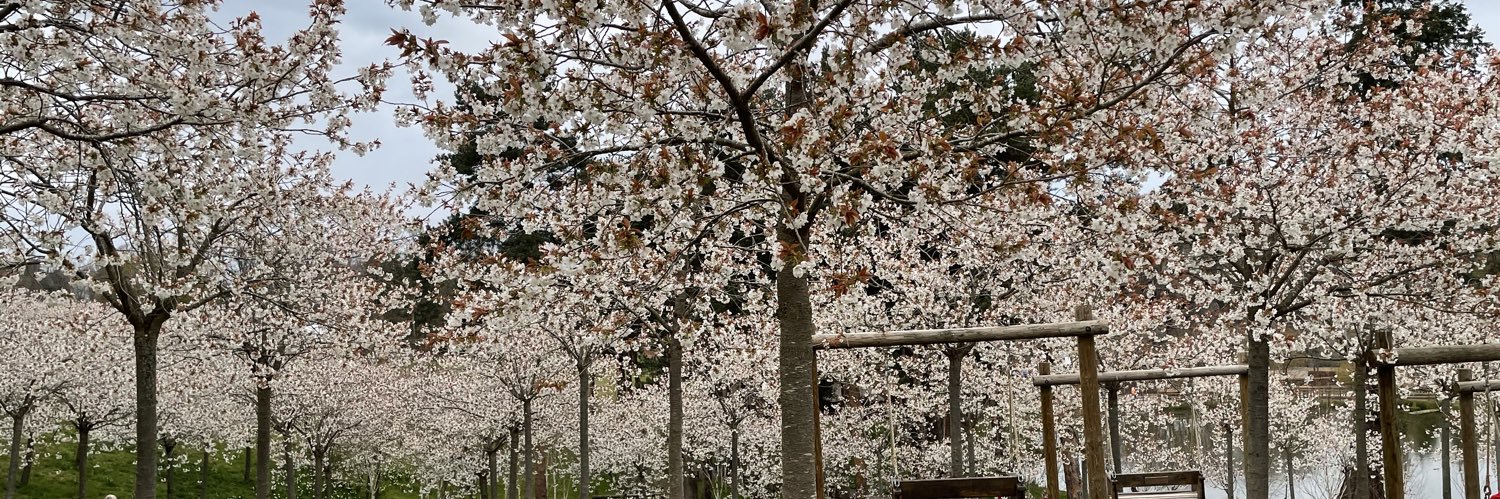 Katherine Carr banner