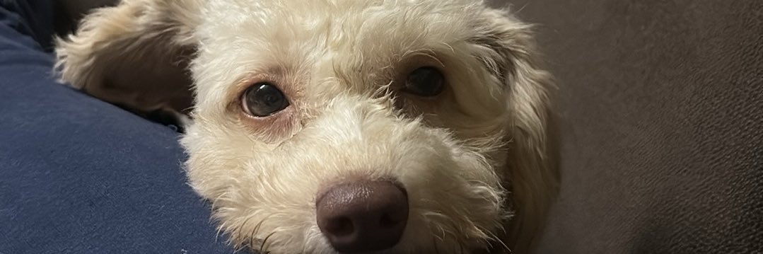 eyleecs's profile banner image