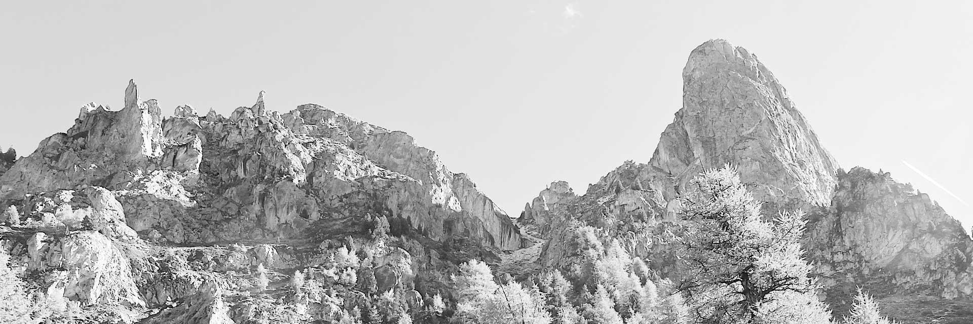 wdxperience's profile banner image