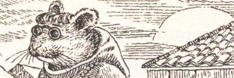 yee haw amateur polisci major banner