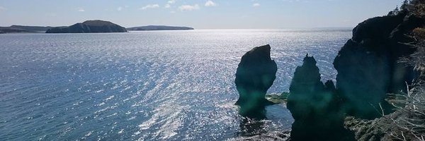 MelDerome Profile Banner