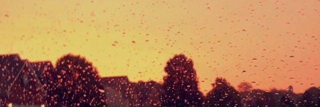 Anas banner