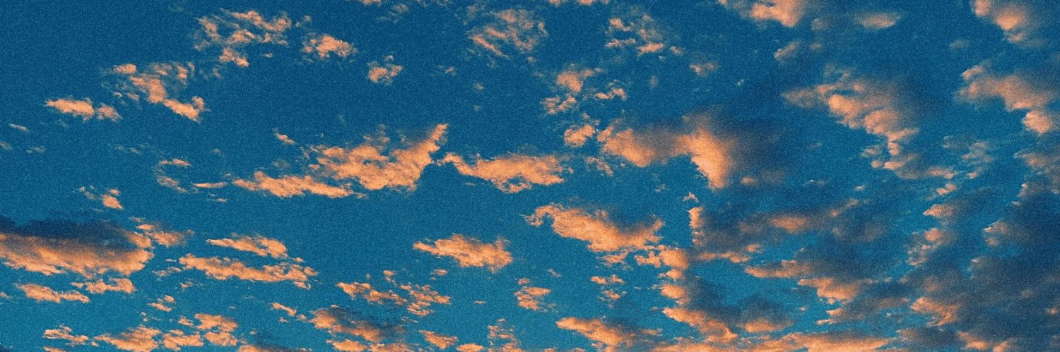 LexiJune17's profile banner image