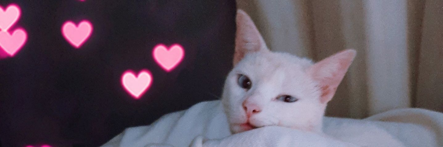 Bru21af_'s profile banner image