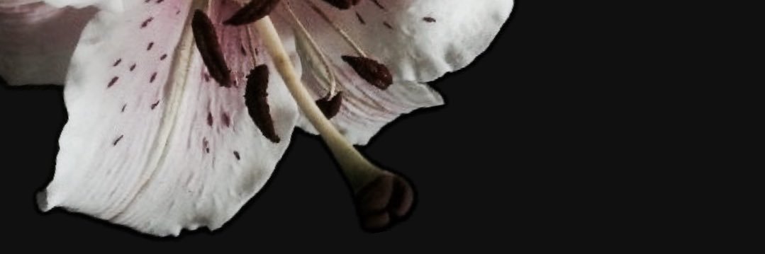 imdeannaa's profile banner image