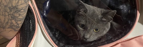 Pilotolol Profile Banner