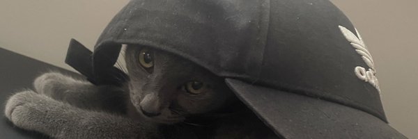 Pilotolol Profile Banner