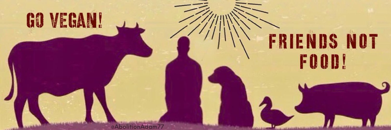 the voice of violence🐾🌱🇮🇷🏳️ banner