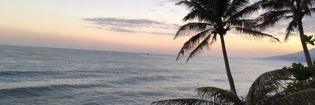 bacchuslu's profile banner image