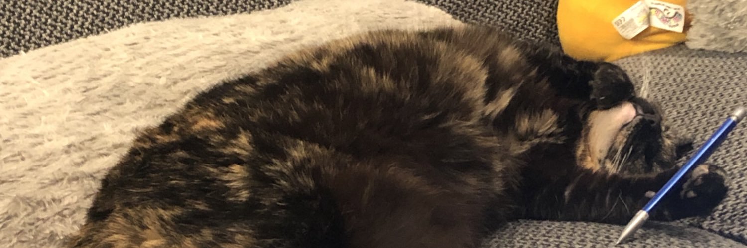 MarenFelder's profile banner image