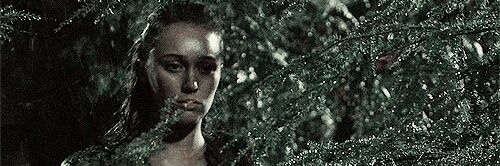 clexa_forever23's profile banner image