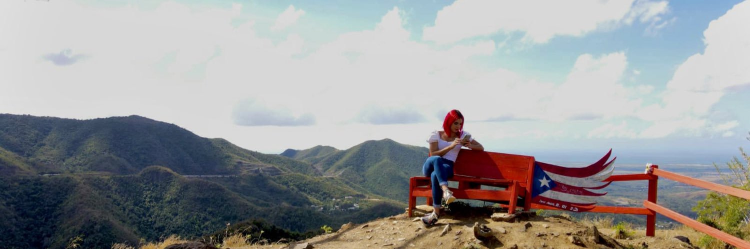 nicolecolonpr's profile banner image