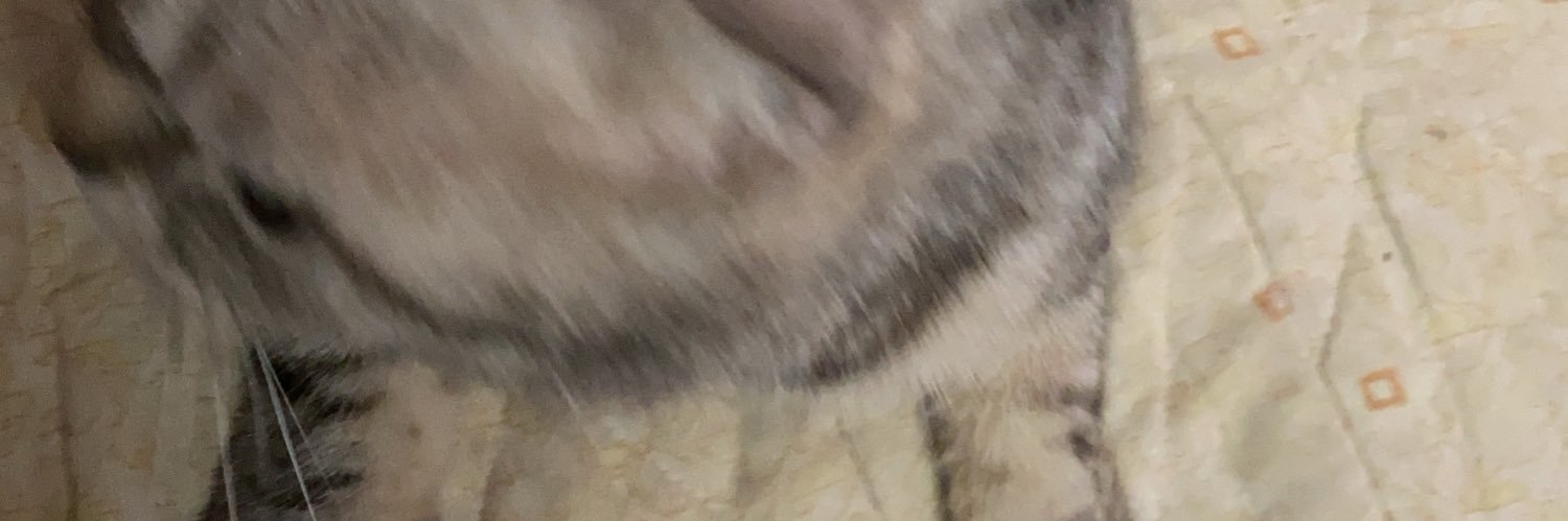 rαмzч 🐈‍⬛ ¹⁴¹⁵ ¨̮ banner