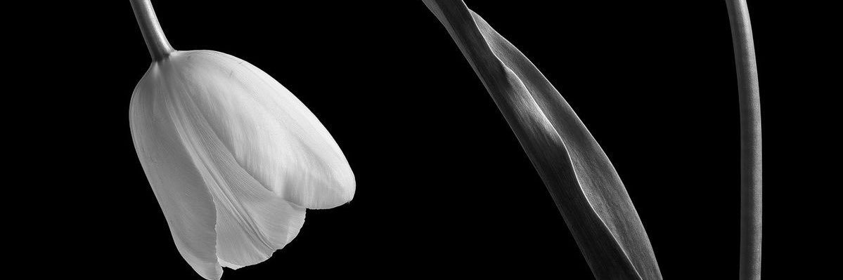 louisesanz's profile banner image