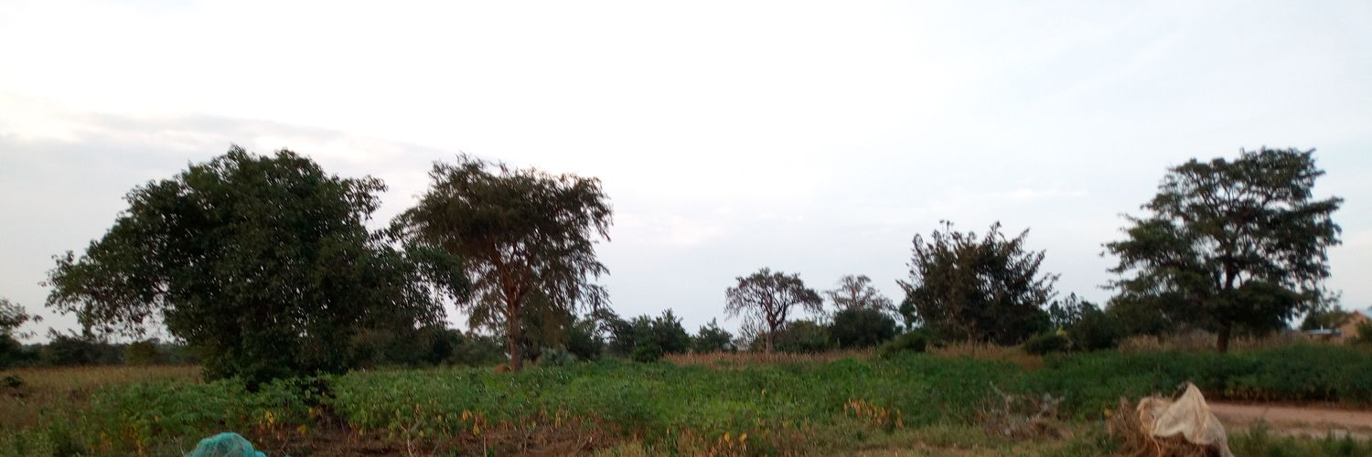 iogaram's profile banner image