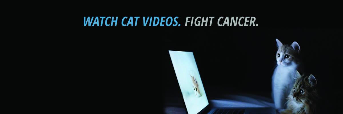 Cats vs Cancer banner