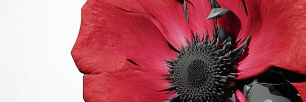 suphuffy Profile Banner