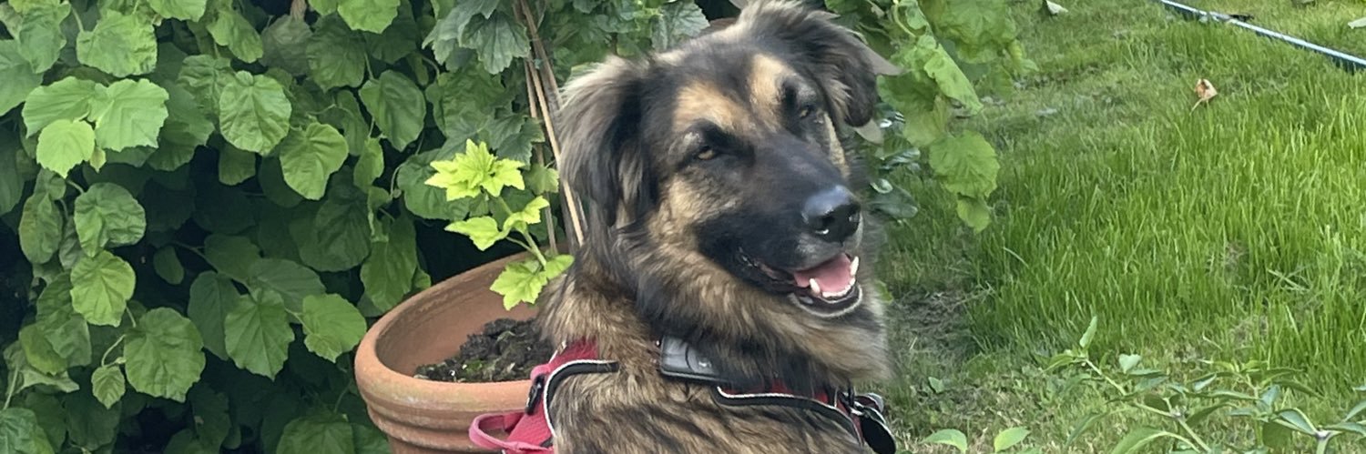 Christian Kitsch banner