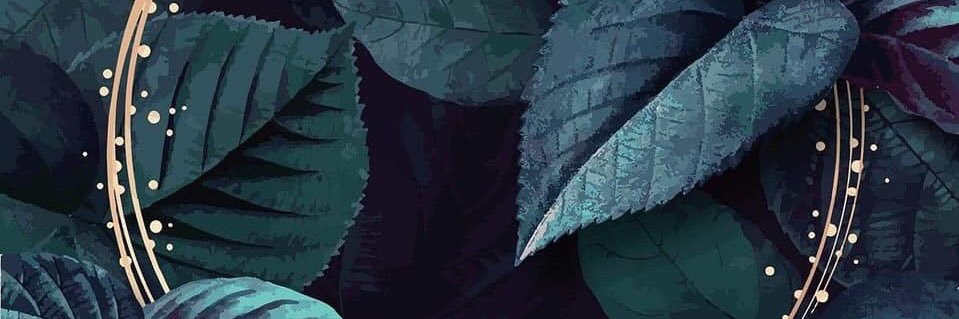 hairecheros's profile banner image
