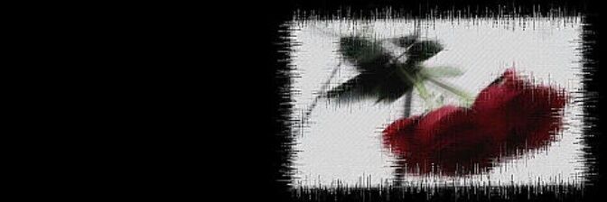otb____nr's profile banner image
