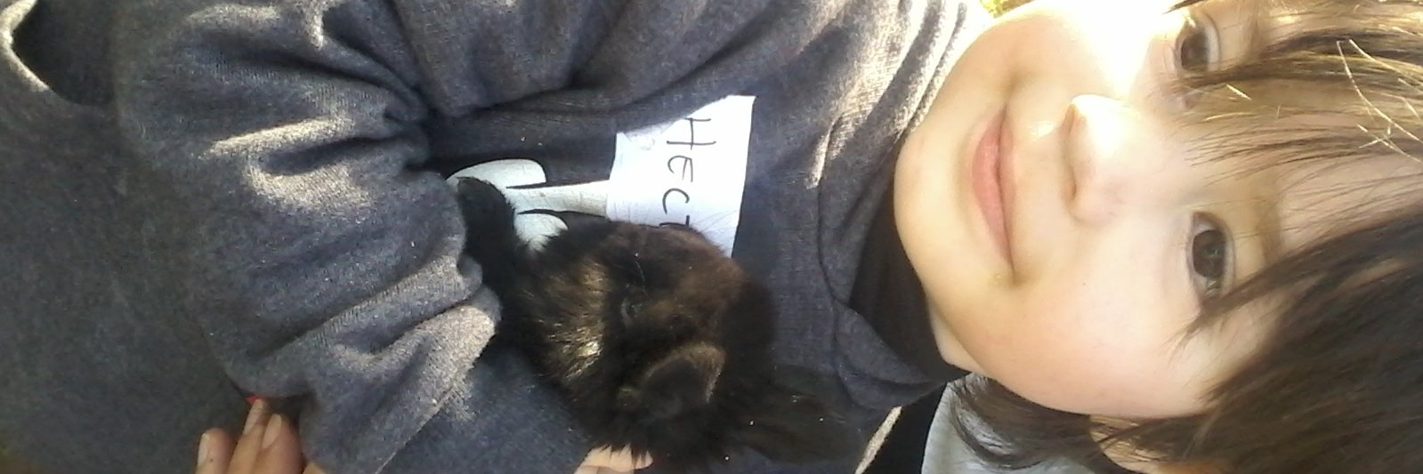 Roro ☮️☮️ Alarcon🌳🌐🌳 banner