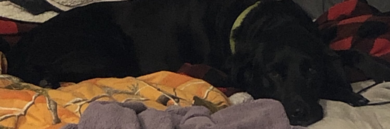 Leah_beth_'s profile banner image
