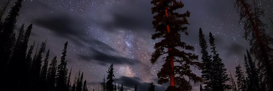 MaryBalcom's profile banner image