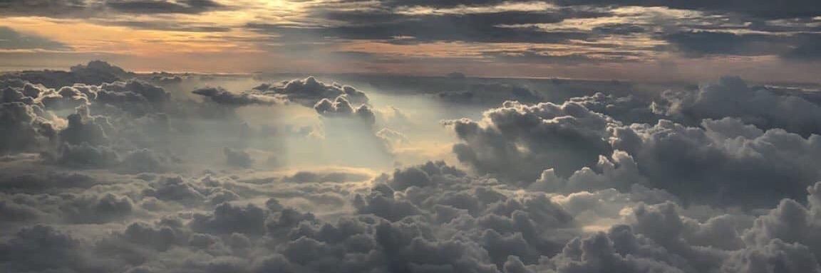 ToNi_19_'s profile banner image