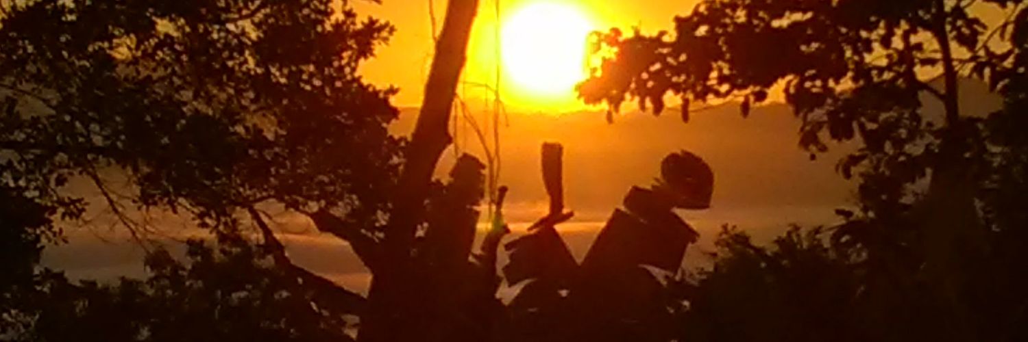 Yoel Alex ♉ banner