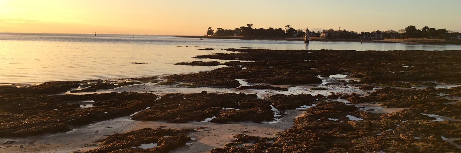 Julien Bouzéloc banner