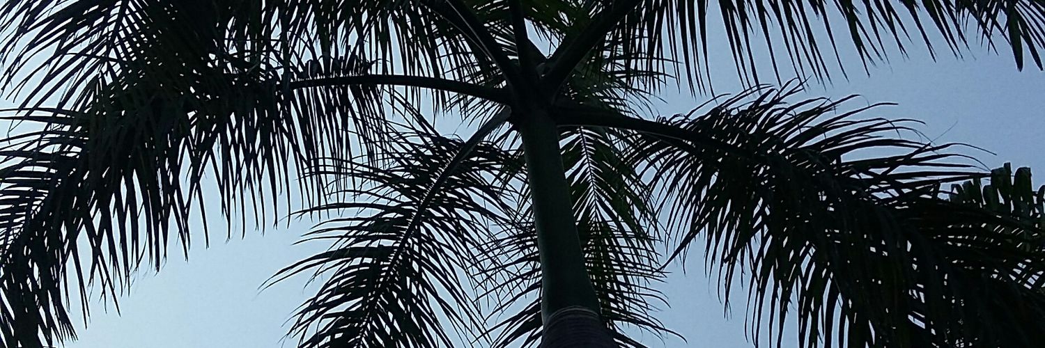 MNybergh's profile banner image