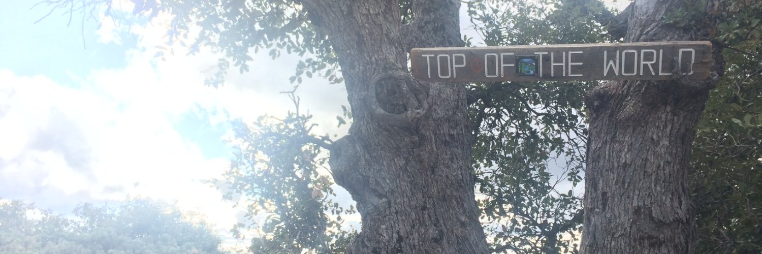 EmmaRaeLierley's profile banner image