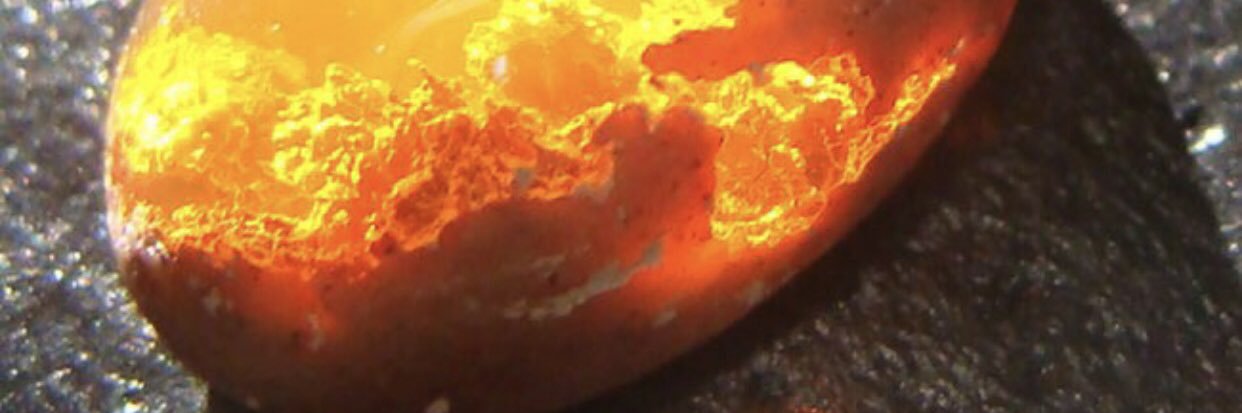 TruexAhmed's profile banner image