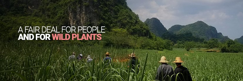 FairWild Foundation banner