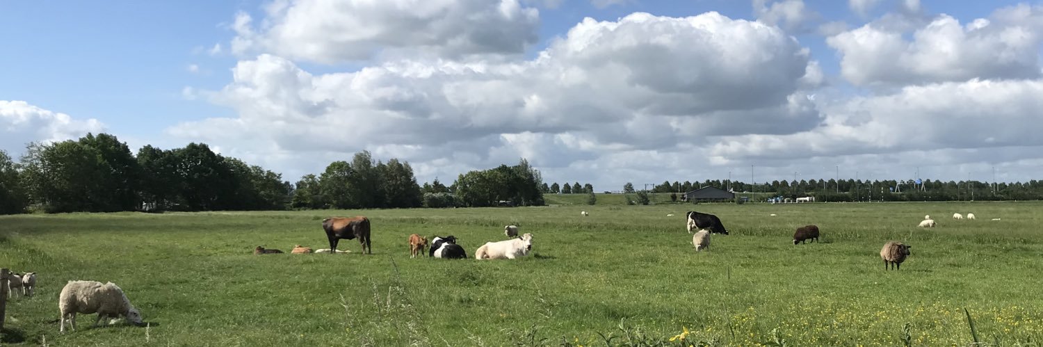 Jasper Simons banner