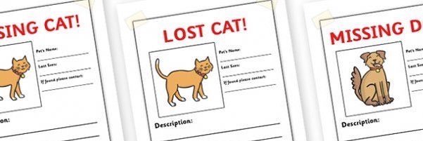 Lost & Found Pets in KSA banner