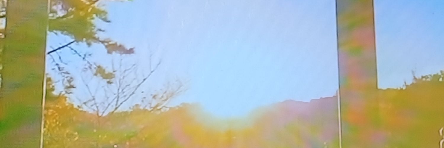 619Megumi's profile banner image