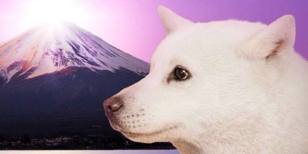 ututu0413's profile banner image