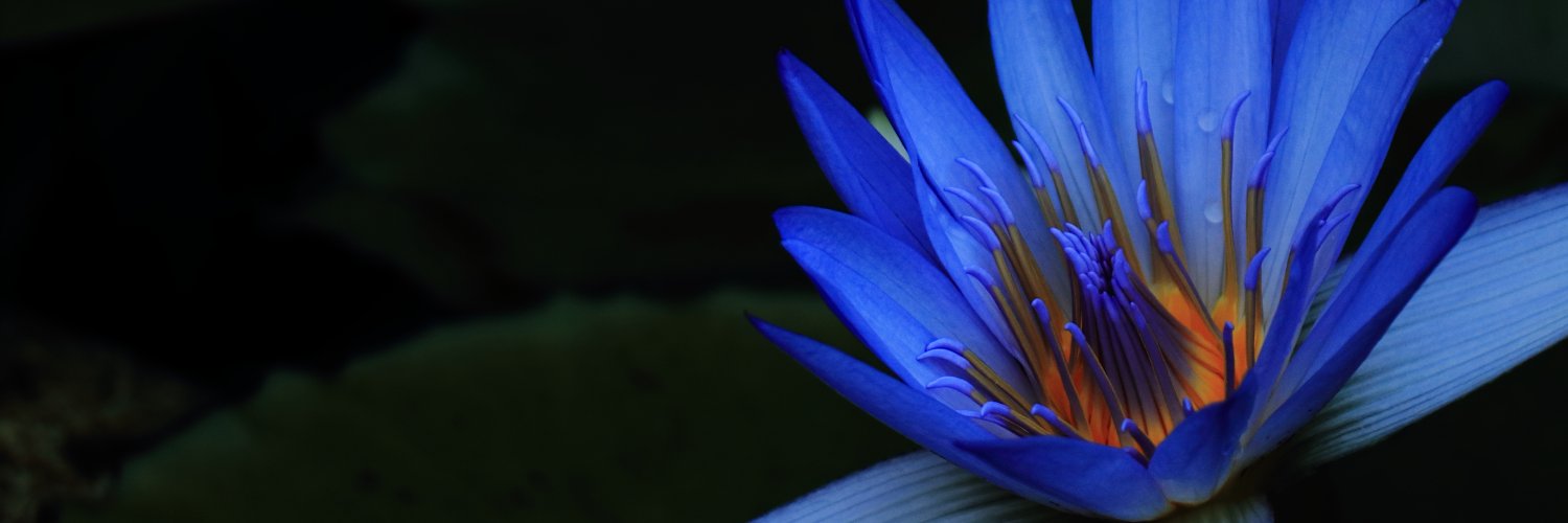 penelope_ff14's profile banner image