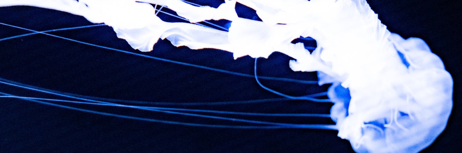 晴河さき / Harukawa Saki banner