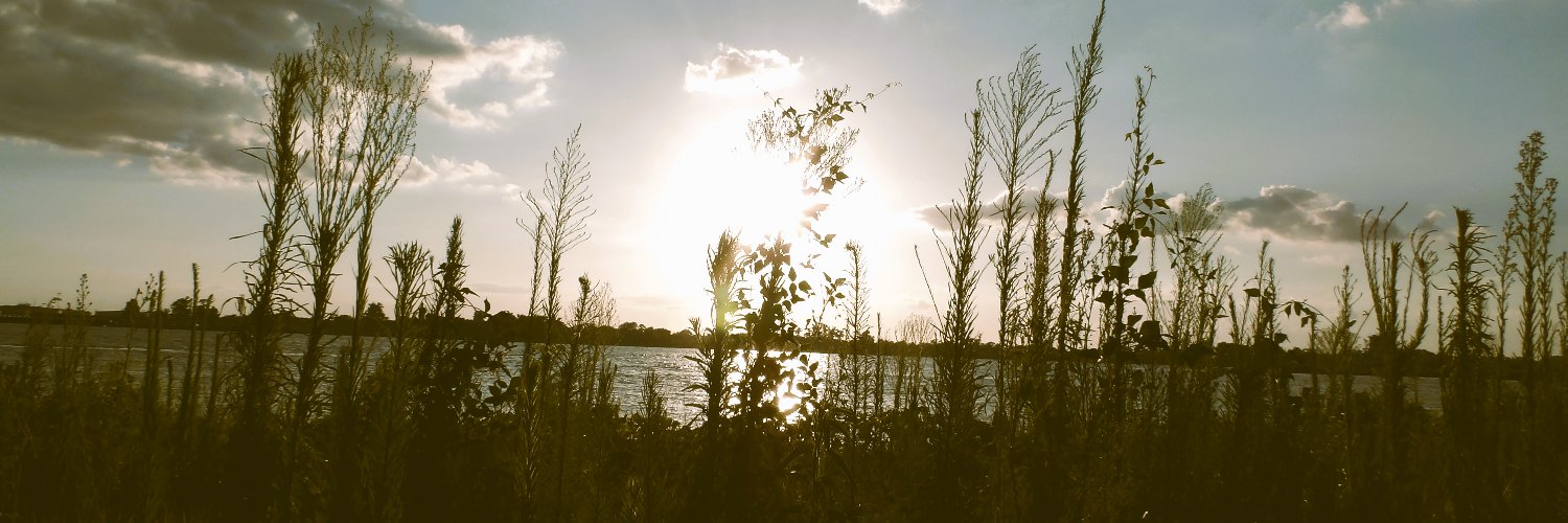 illinaro's profile banner image