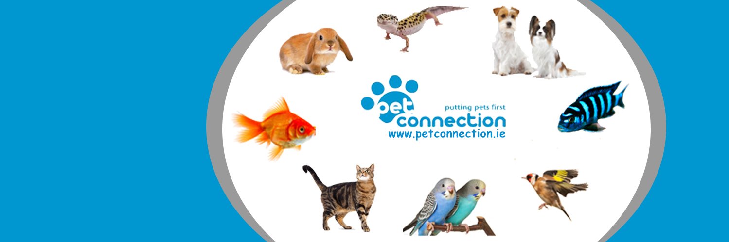 Pet Connection 🐾 banner