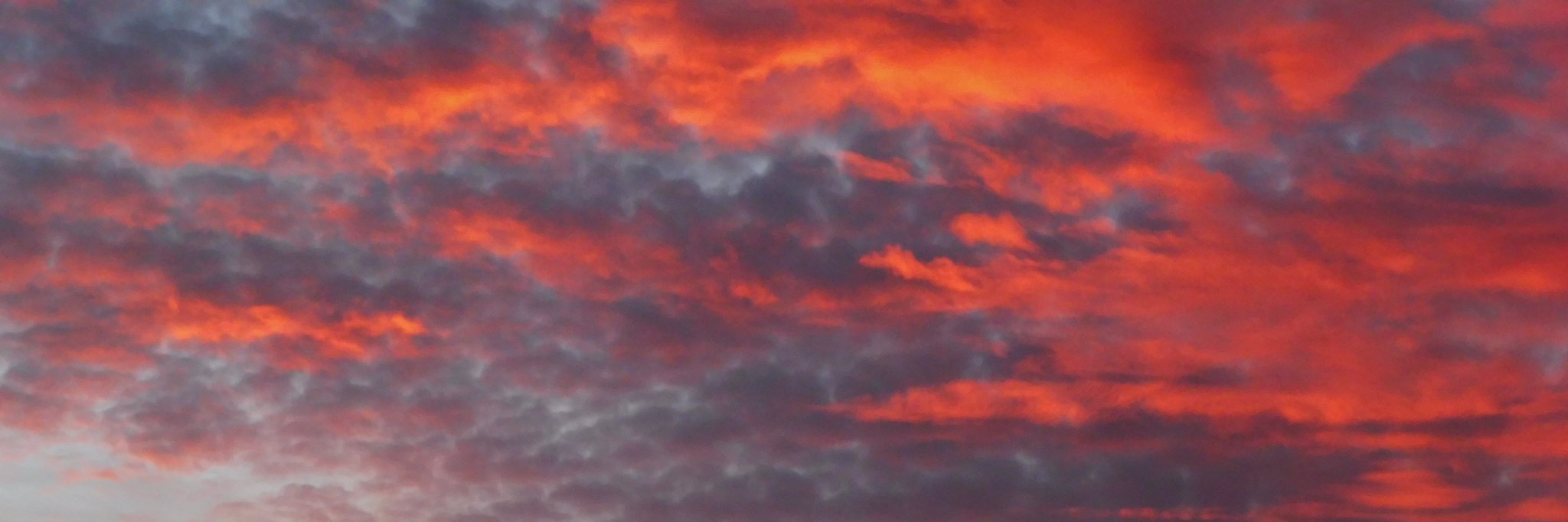 sandrap49's profile banner image