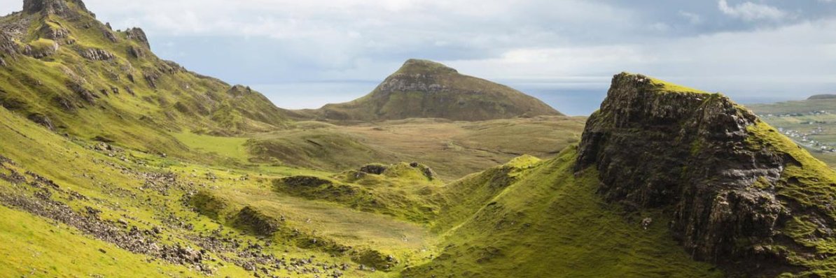 Frances Cunning banner